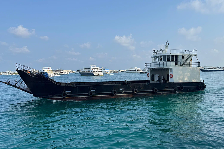 كيف تُحدث قوارب العبارات ثورة في النقل البحري؟